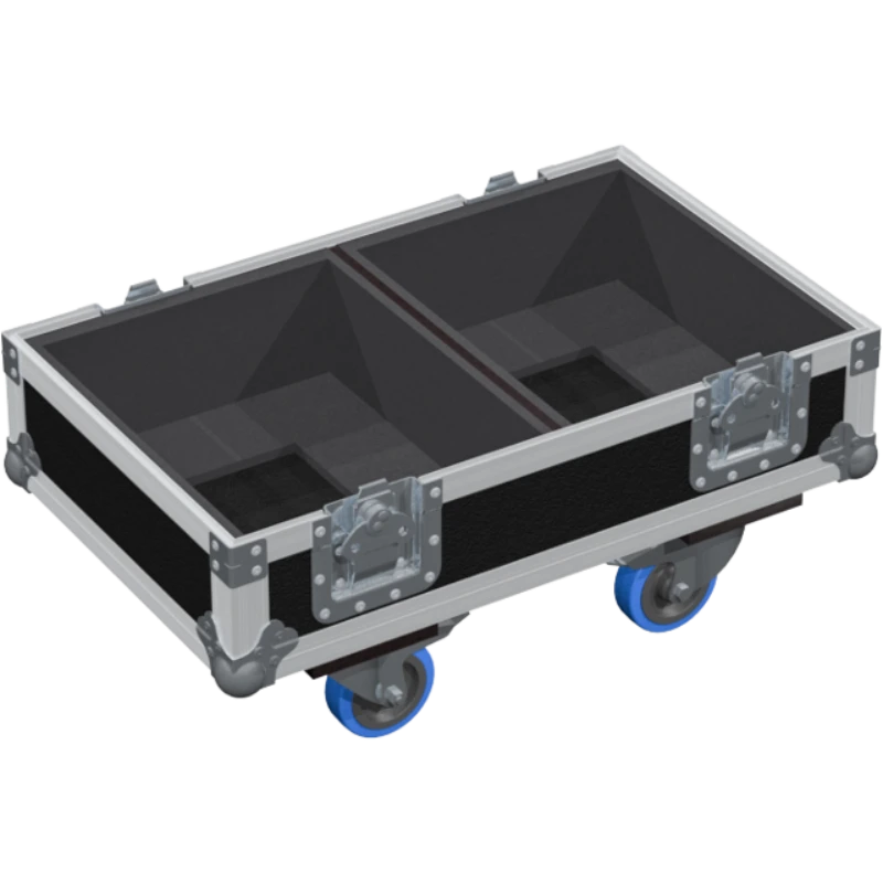 ALP FLIGHT CASES 2X TECNARE V10