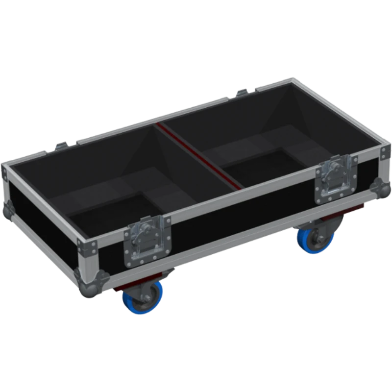 ALP FLIGHT CASES 2X TECNARE V12