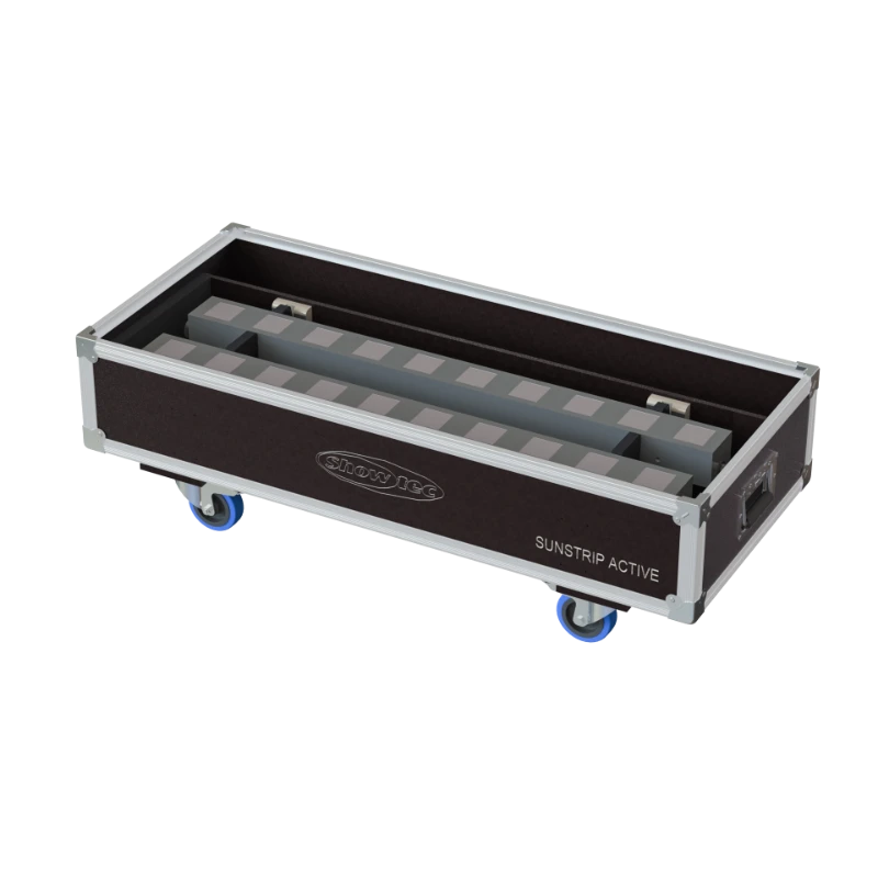 ALP FLIGHT CASES SPEEDY BOX 2x CAMEO 600 PRO IP65