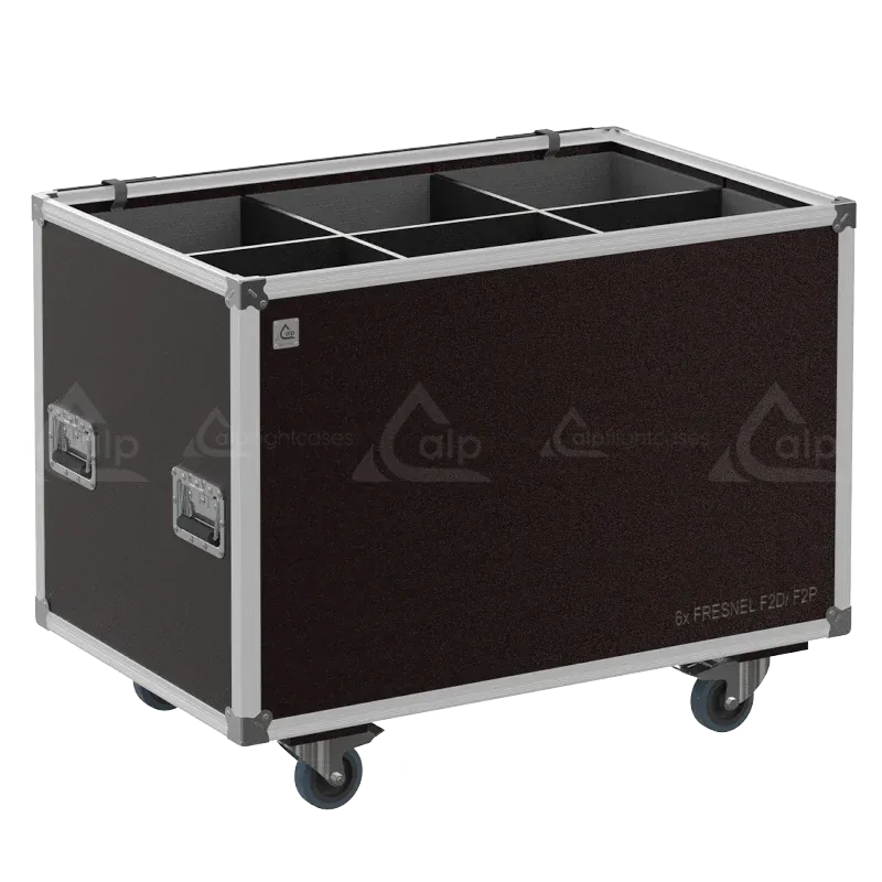 Empty Speedy-Box for 6x Cameo F2D/F2T showing precision-cut vertical compartments and protective lining