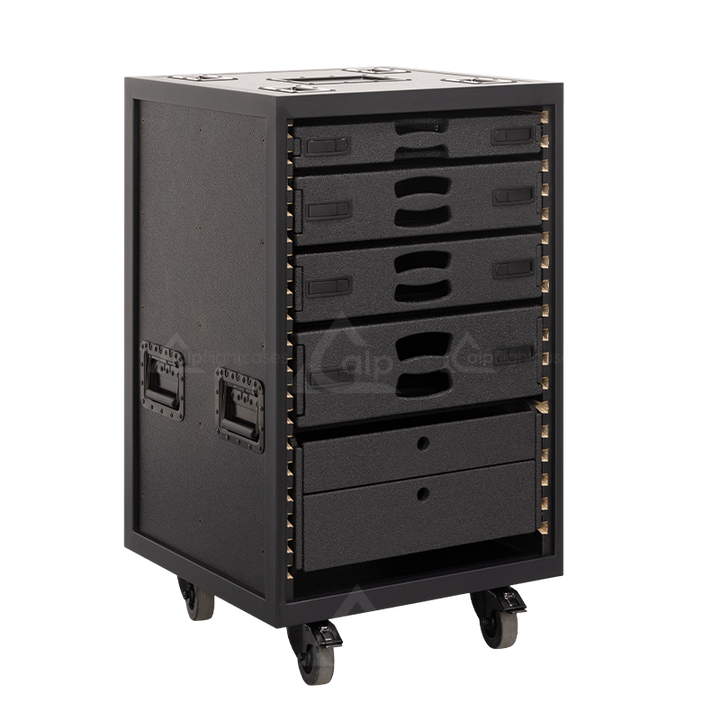 ALP FLIGHT CASES STRUCTURE CART RACK RENT 12U