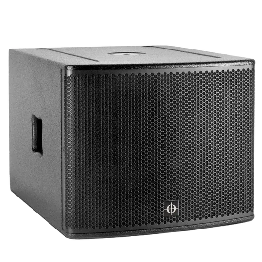 Standalone view of the Coda G15-SUB, representing the premium professional audio equipment protected by ALP Bags