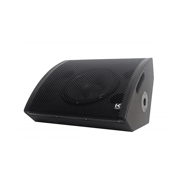 Front view of the professional Hortus Audio SAM 12 loudspeaker before fitting the ALP protective cover
