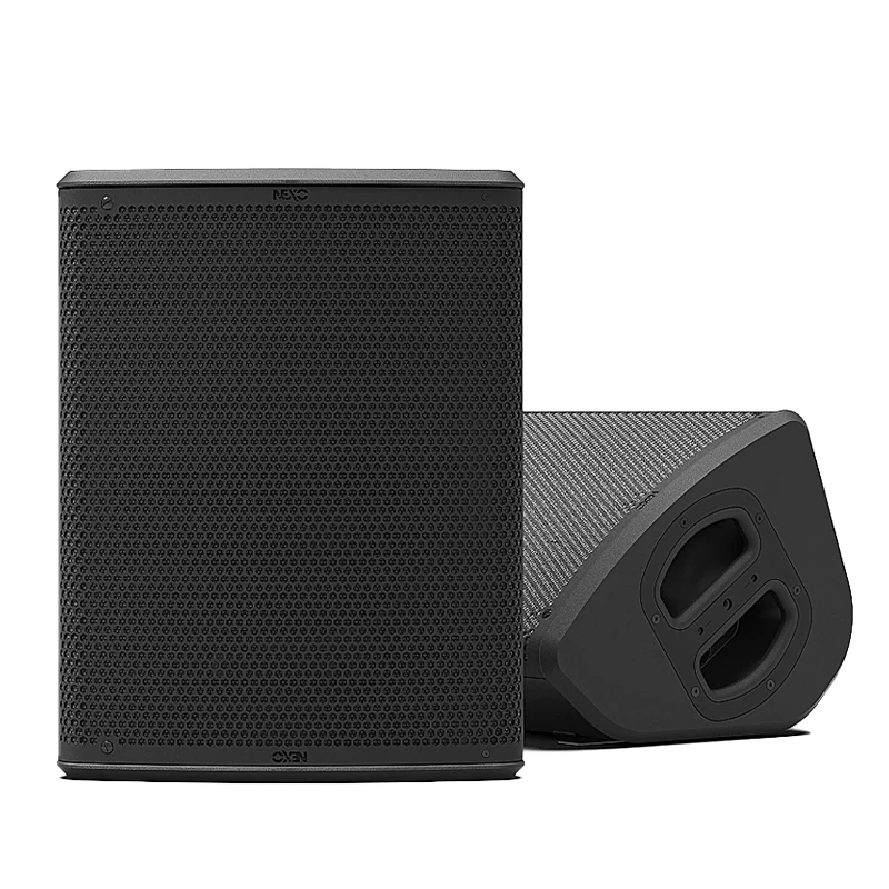 Front view of the professional Nexo P12 coaxial loudspeaker without the ALP protective cover shell