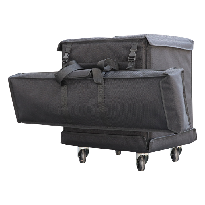 Flight Case ALP BAG FOR BORNE FZ.1 WITH SKATE