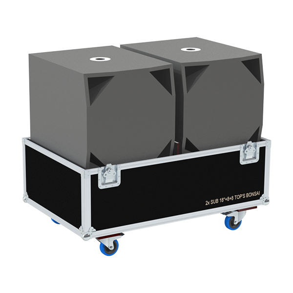 Complete W&DB Audio system including 18 inch subs and Bonsai line array tops secured inside the custom combo case